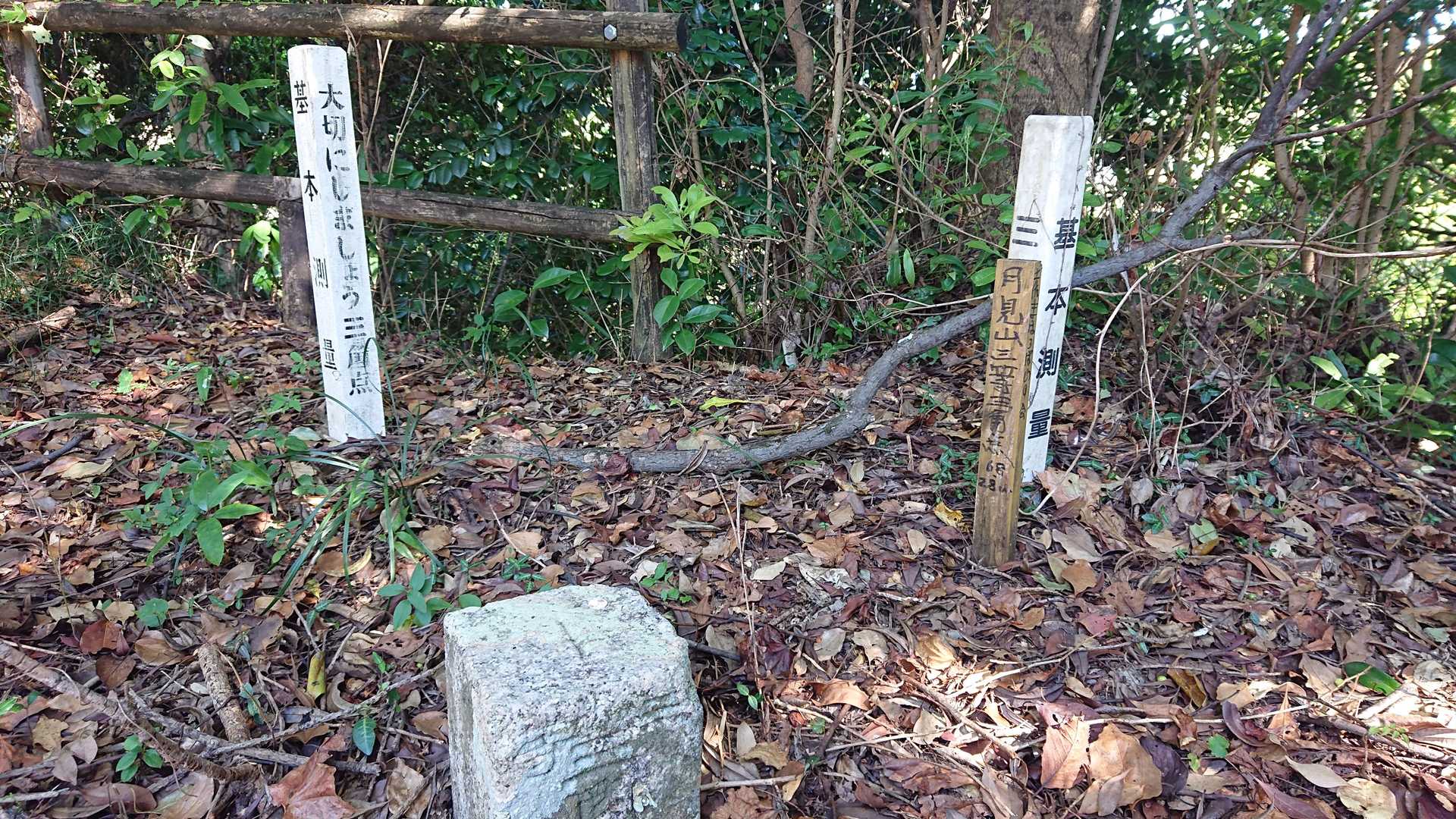 月見山（高知県）の写真