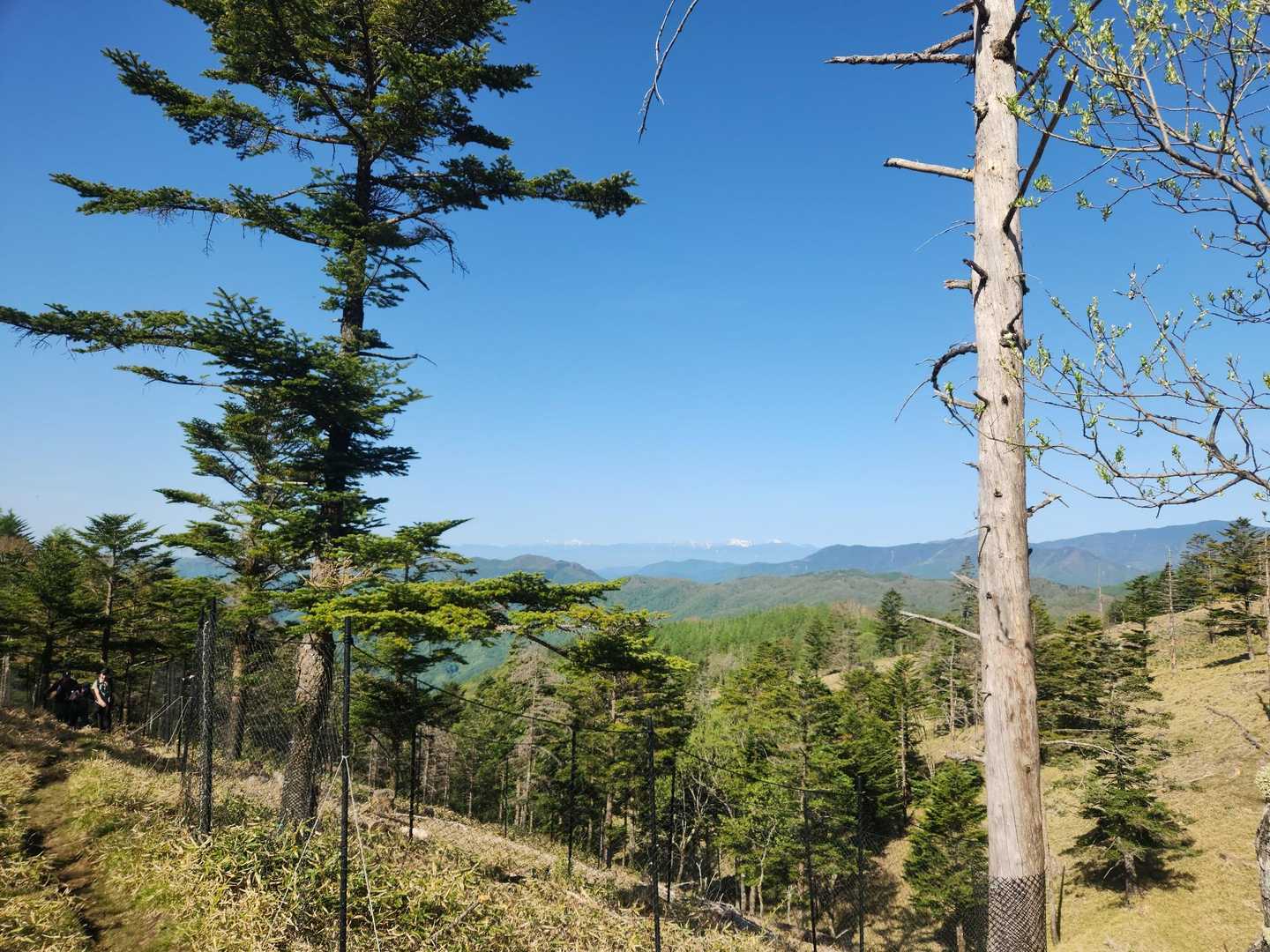 三ノ瀬登山口-東仙波-和名倉山 往復コースの写真