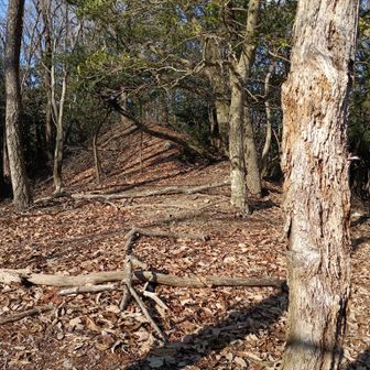 尾根に出る。こちらが天満山方面