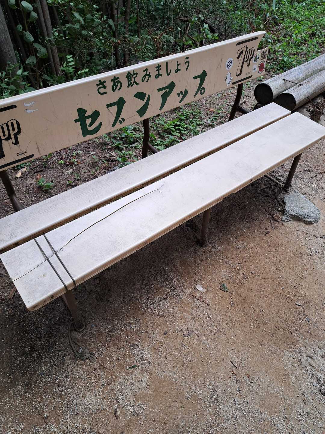 千早本道コースの写真