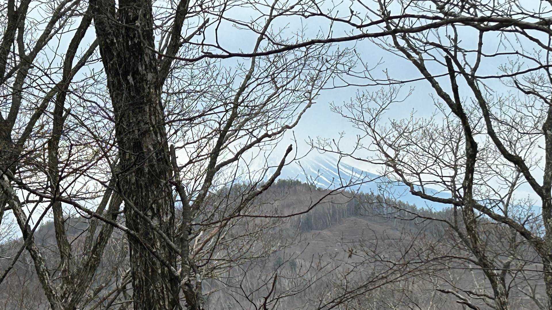 開始からずっと右側に富士山を感じつつ…
どんどんみえなくなる