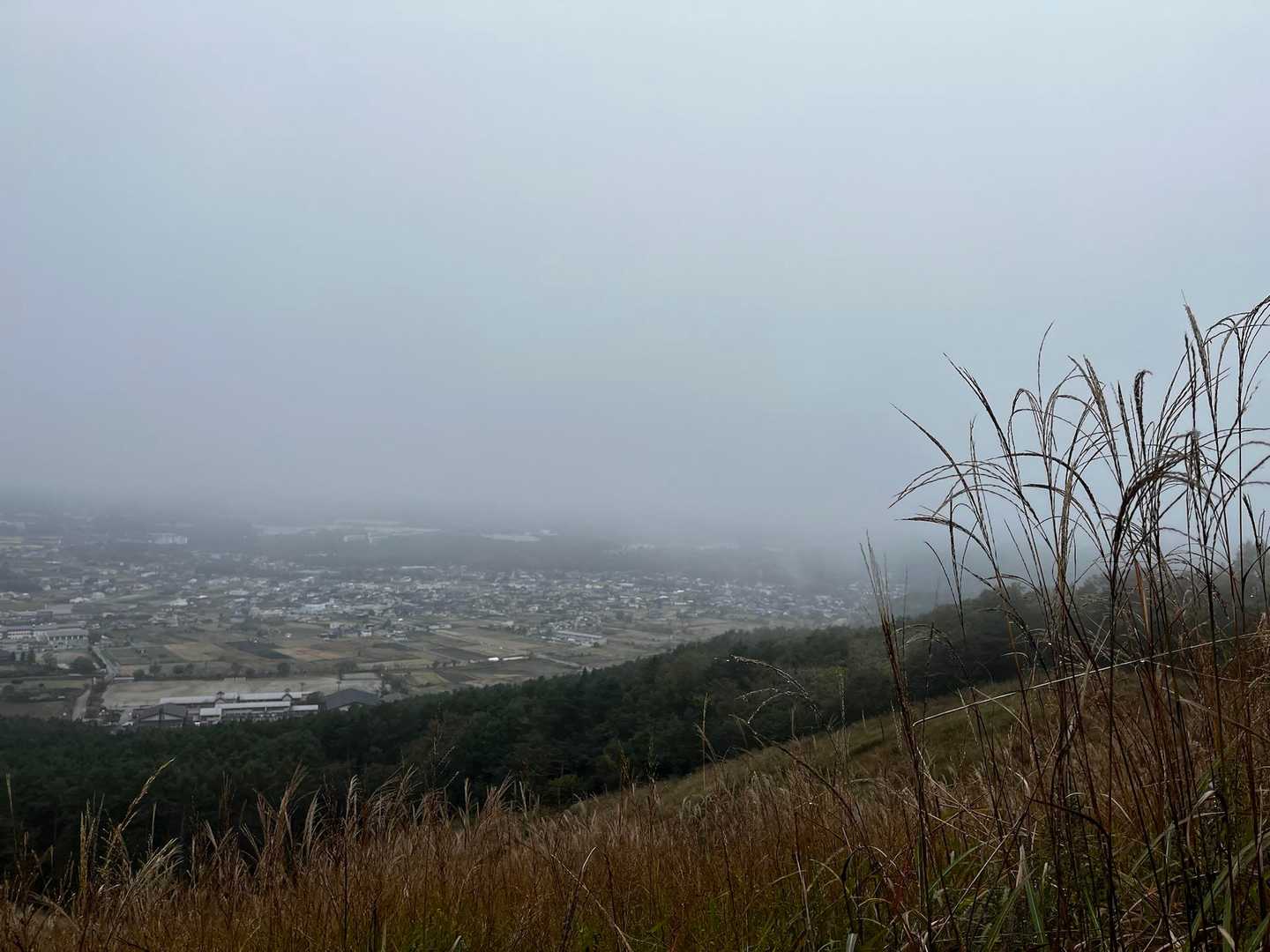 鳥居地峠-高座山 往復コースの写真