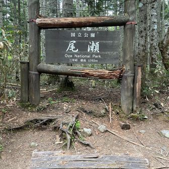 三平峠まで登って、後は下るだけ💪