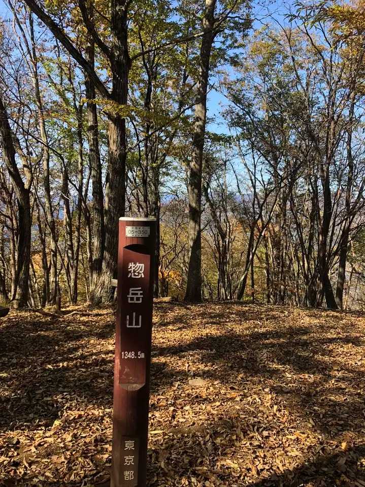 惣岳山の写真