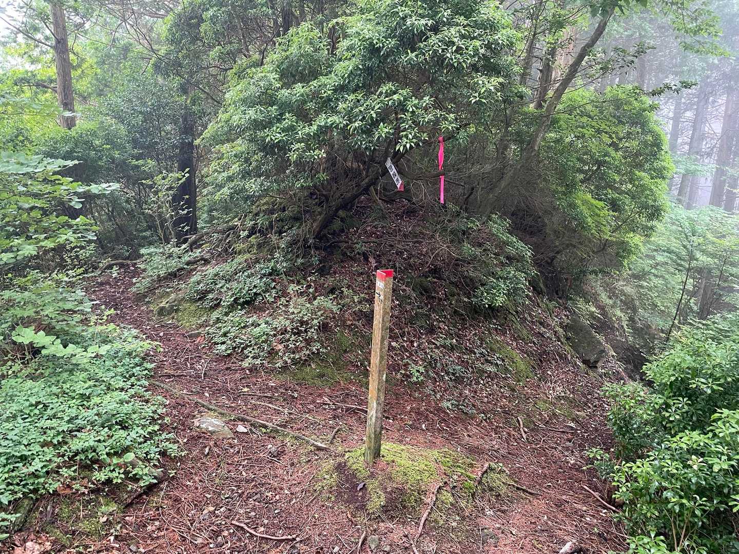 この分岐は左へ