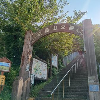 やっと本日ラストの吾妻山公園に着いた！
改めて、もうここは大磯町じゃなくて二宮町なんですねー

この階段上がったところにコカ・コーラの自販機あります（売店もあるようです）