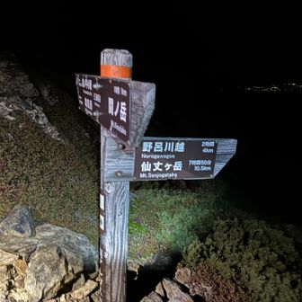 こちらも仙塩尾根挑戦者を全力で脅しに行くスタイル
仙丈ヶ岳まで10.5キロ7時間50分
ちなみに塩見岳まで8.5キロ7時間20分
