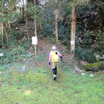 YAMAPでは立ち入り禁止になってますが今はＯＫです