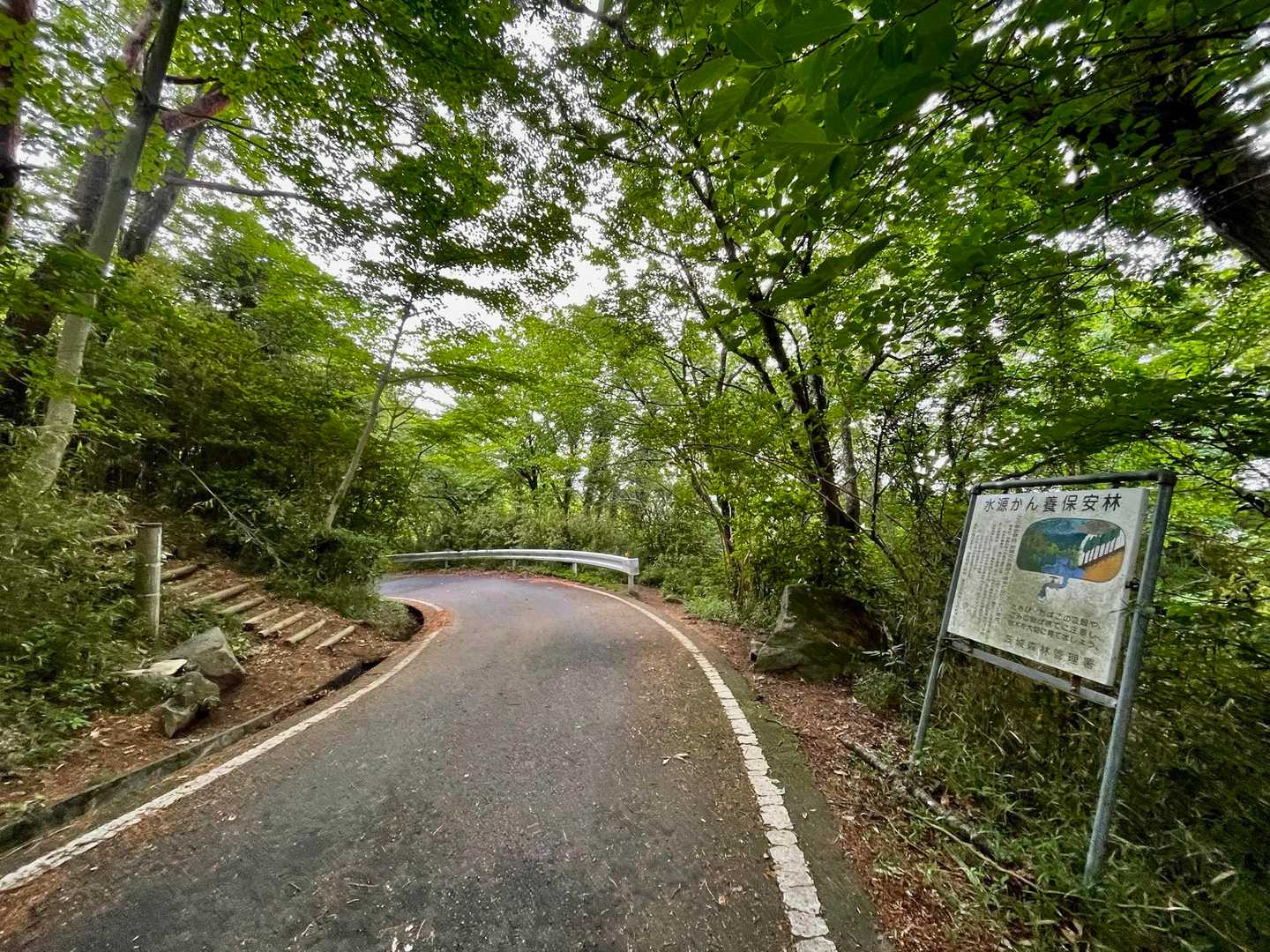 分岐点に帰ってきました〜🙌
ここで少しだけ水分補給🥤