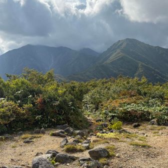 山頂小屋の高さまでは晴れたらしい朝日岳センパイ