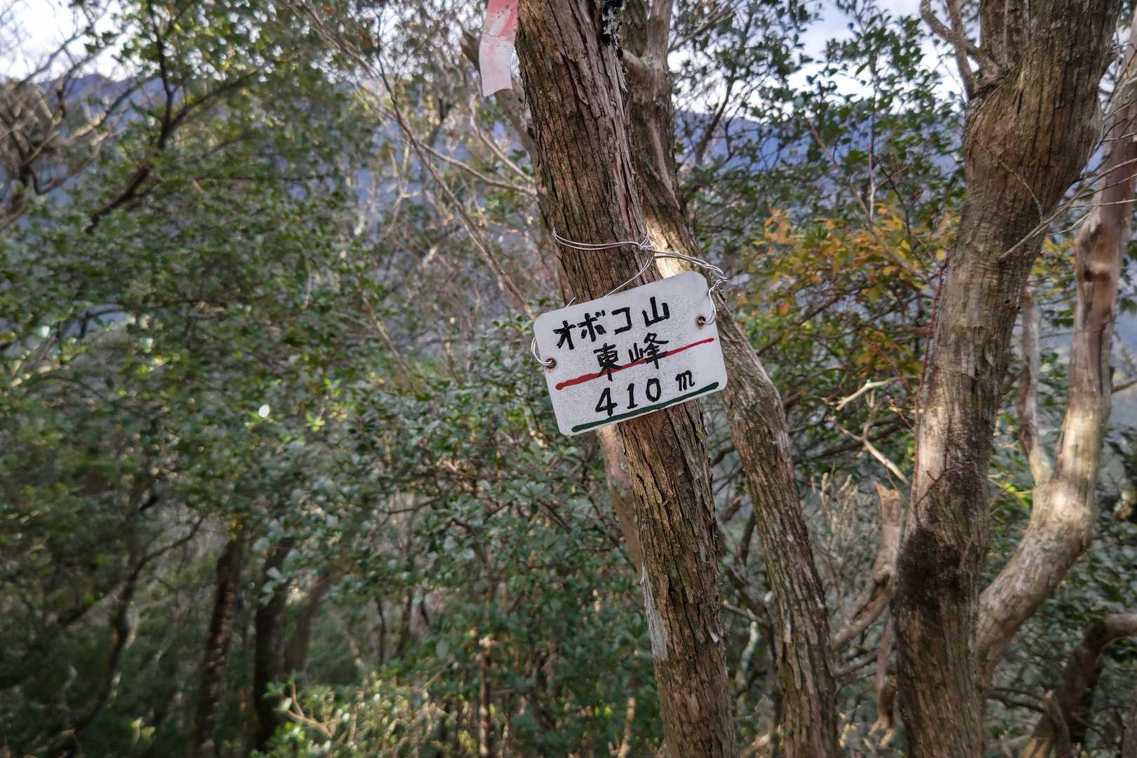 オボコ山東峰。
YAMAPにはありません。
