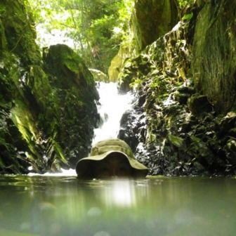 みかみかみかみ