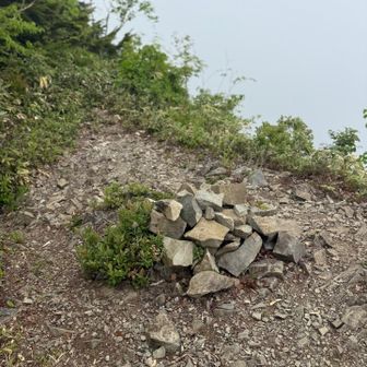五地蔵山の山頂