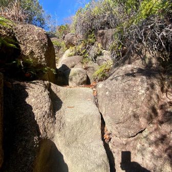 こんなところ登って