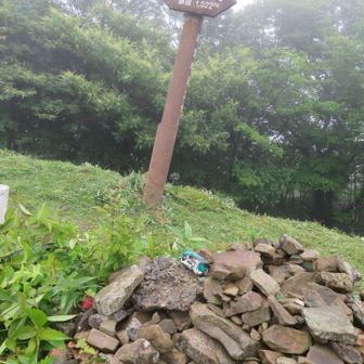 雨が強いのでササっと💦
