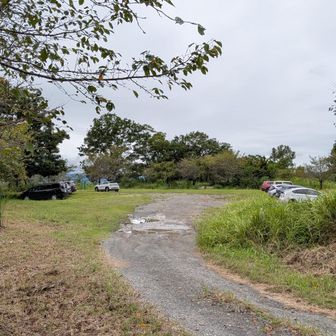 駐車場到着🚙先客は10台ほど。
かなり広い駐車場です。
なおトイレはありません。