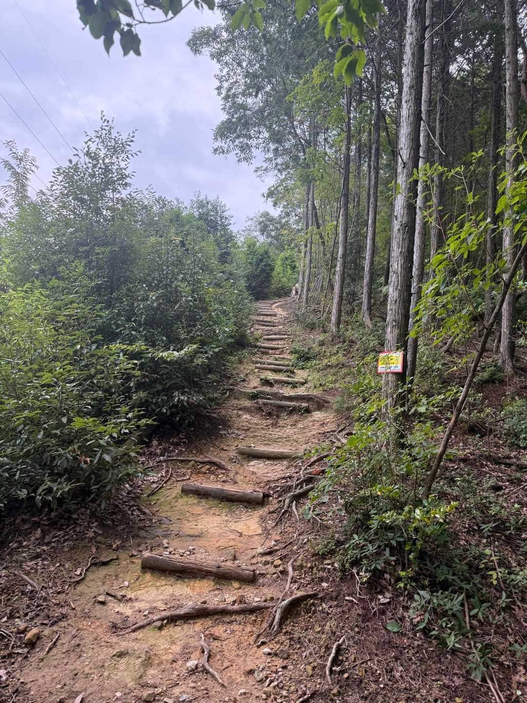米田白山登山口-米田白山 周回コースの写真