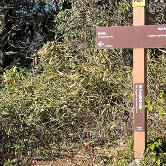 東お多福山頂に到着！