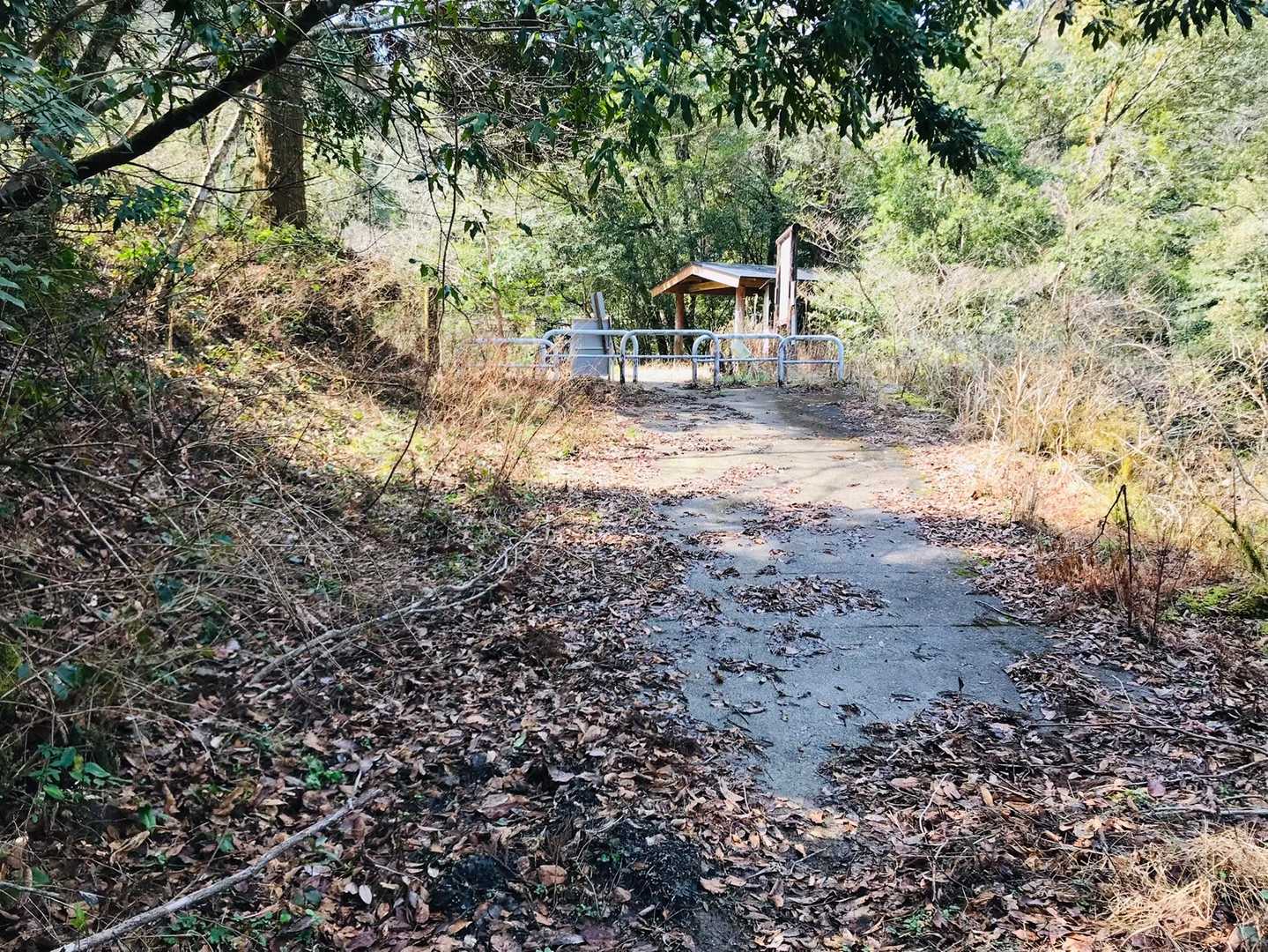 スタート地点の椿山キャンプ場⛺️