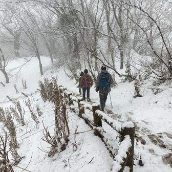 ザックは息子たちに背負ってもらった😁