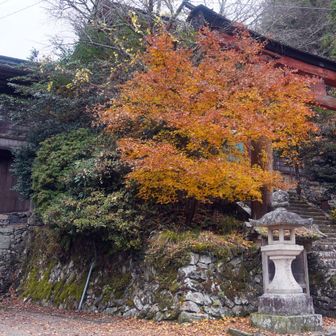 吉野水分神社
水を司る天之水分大神を主祭神とし、大和国の東西南北(宇太・葛城・吉野・都祁)に置かれた社の一つ
もとは吉野山最南端の青根ヶ峰の山頂にあって、大同元(806)年頃に現在地へ遷座された