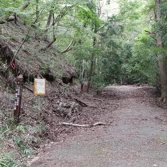 左に入ると七三峠