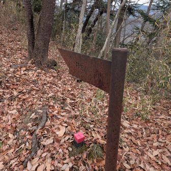この案内板、文字がわからんが、ここから坊主山に登ります。