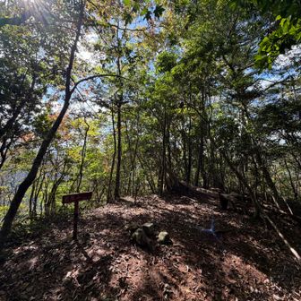 思ったより広い山頂に到着！