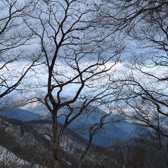 ずーと、どんより雲だったから、久しぶりの青空で少しホッとする