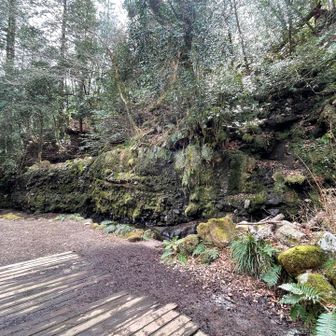 CP.千条の滝…なんだけど、え、滝？
全然、水が無いじゃないか…。