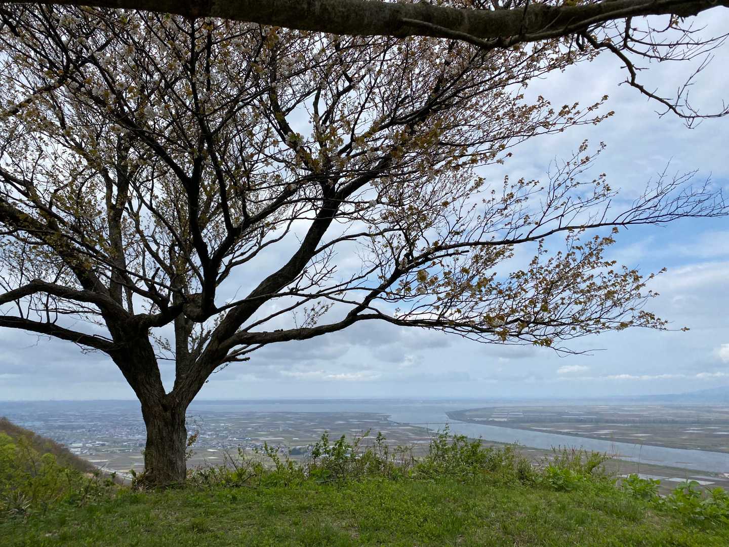 高岳山登山口-永久常夜燈-高岳山 周回コースの写真