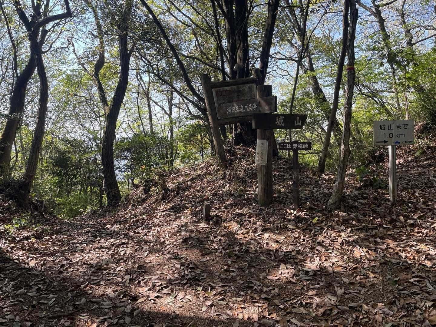城山