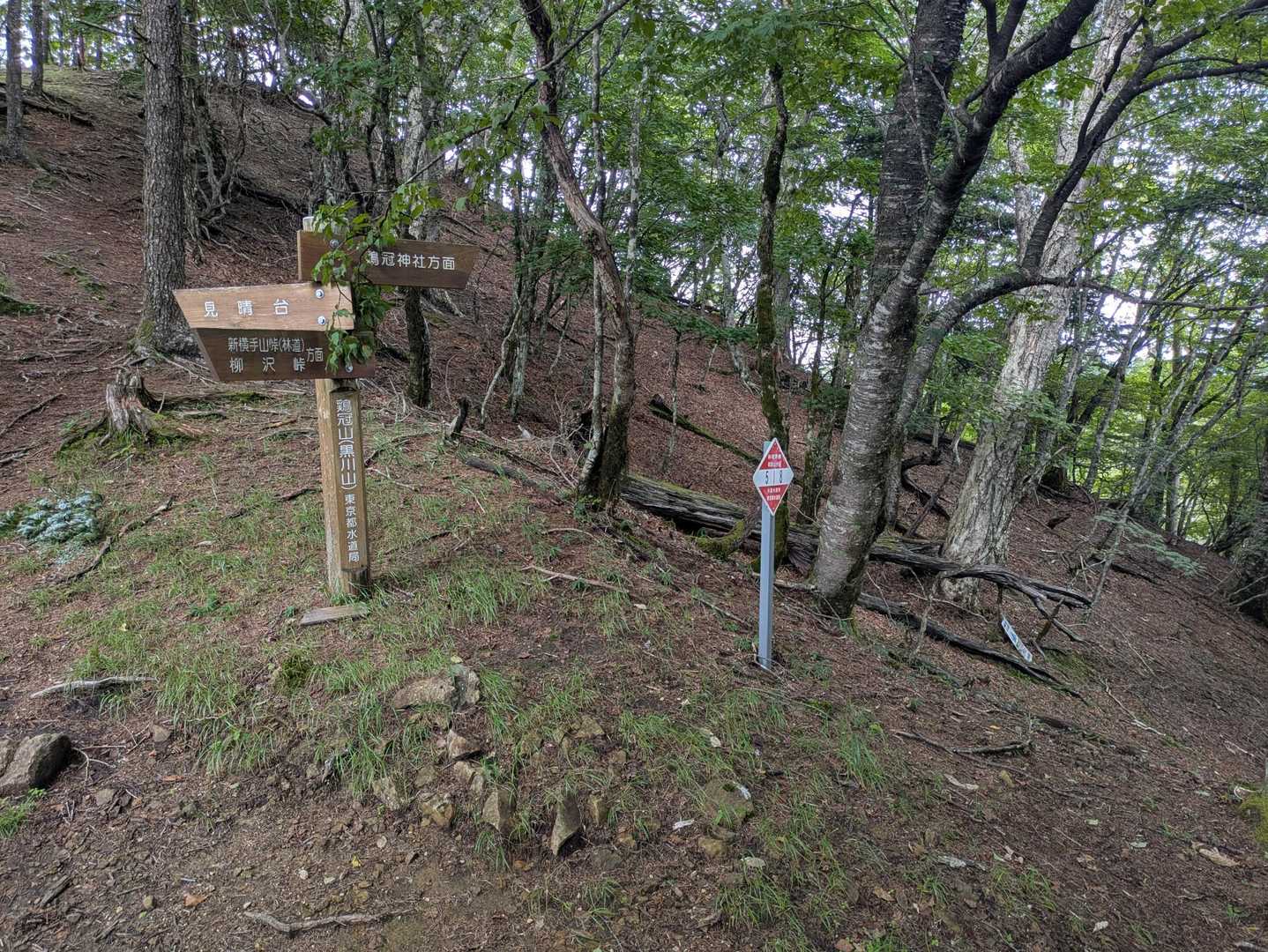 鶏冠山は、鶏冠神社方面へ少し下ります