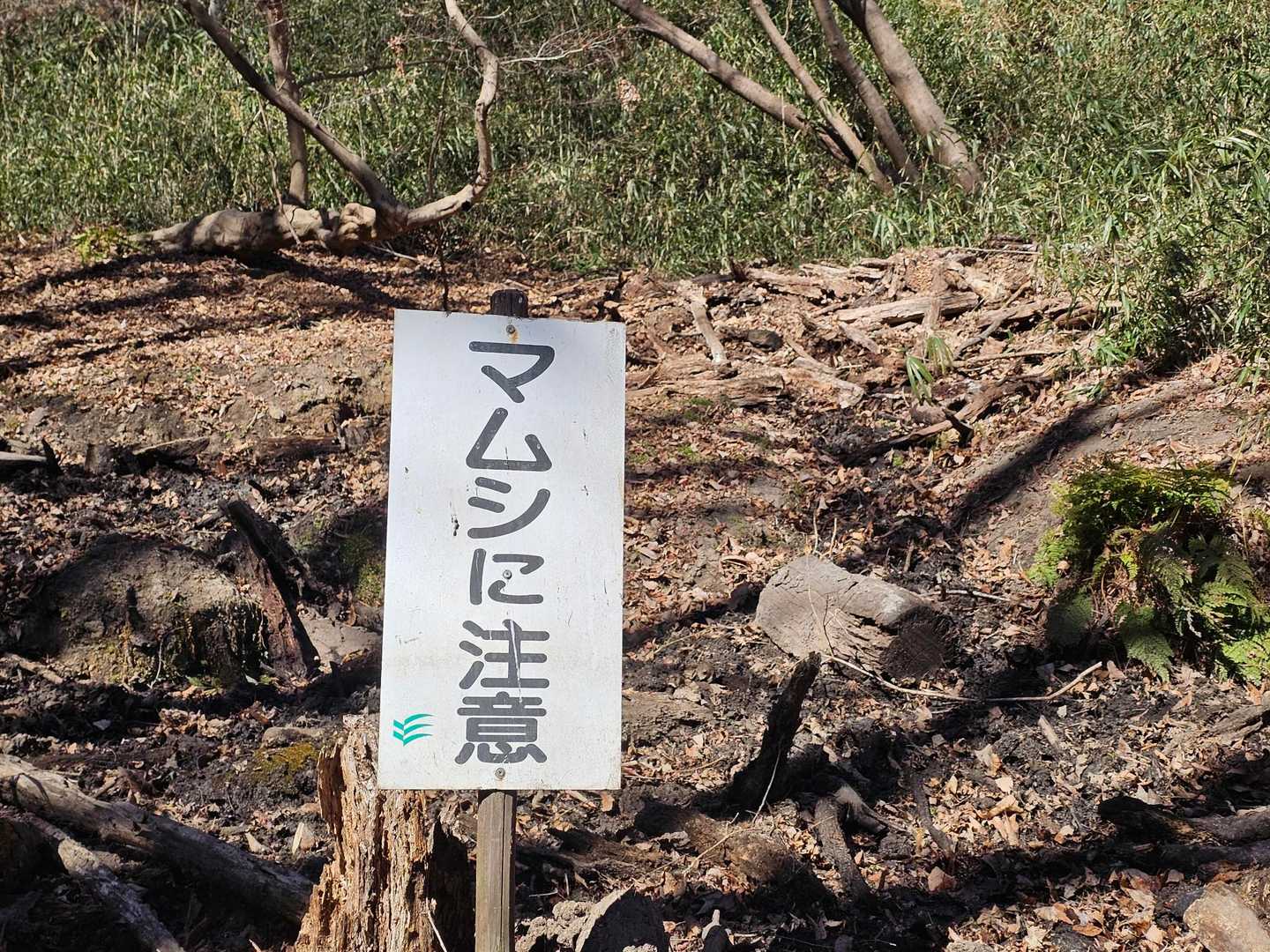 5月～10月頃は注意です🐍