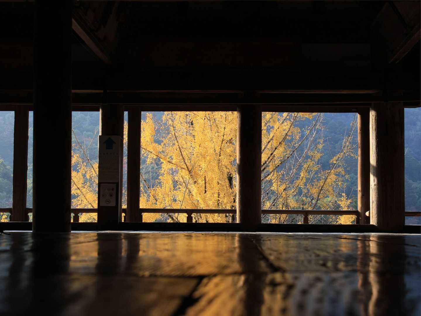 弥山-弥山登山道入口 往復コースの写真