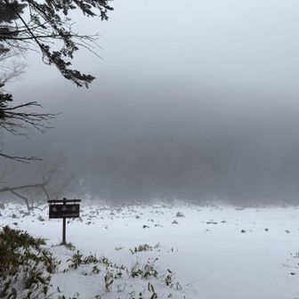 亀甲池到着
今日はここを目的地とする！
何処からが池なんだろう？