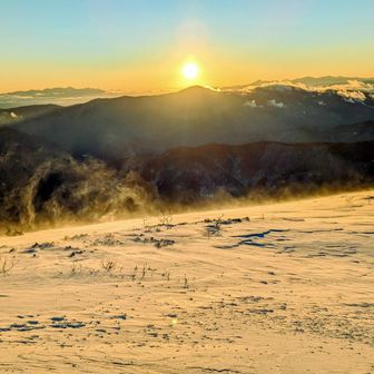 見る方向で色が変わって
最後は小金色🪙
風雪が舞う、美しき情景です