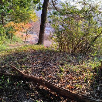 無事に帰ってきました。
軽い散歩のつもりが不慮の草むしりやらで思ったより手間取りました。
藪は山頂に行くだけならそれほどでもなく、藪漕ぎ初心者向きの山だと思います。
バリルートっぽい場所も散見され、昔はけっこう登る人が多かったのかもしれません。

ご覧いただきありがとうございました。