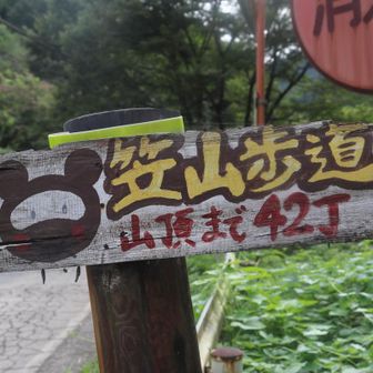 笠山歩道、YAMAPのルートには無いですが 昨年4月に ここから登りました、道は明瞭ですが 歩く人が少ないので クモの巣を払いながら歩いた記憶があります