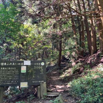 粥新田峠から大霧山へ。
