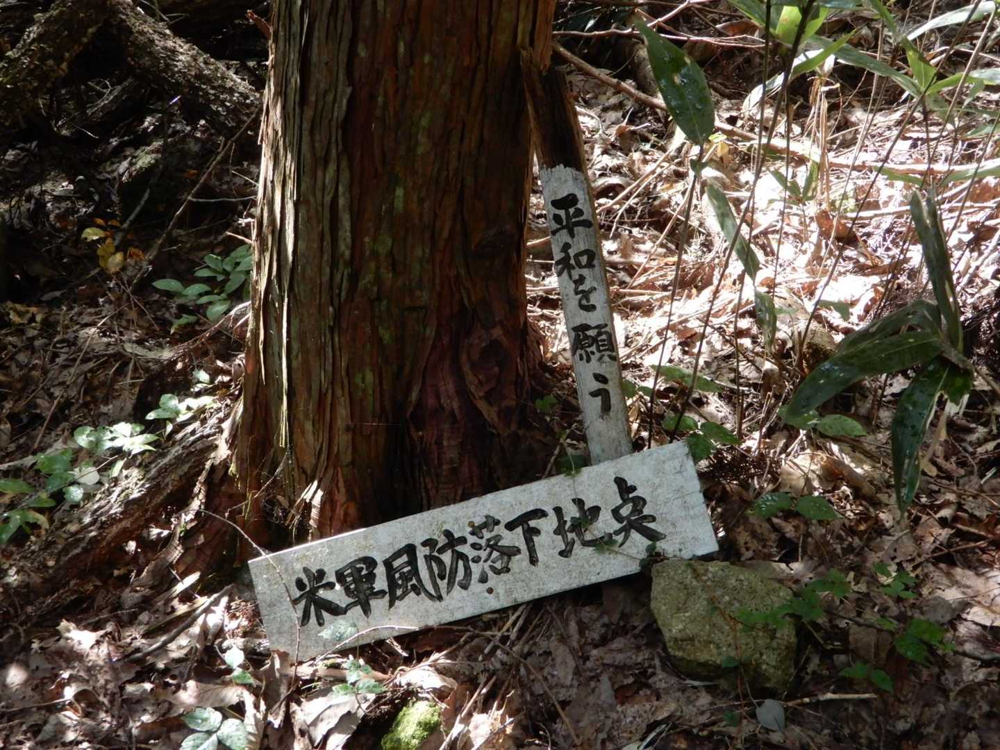 米軍風防落下地点？「平和を願う🙏」　この辺りからキュートが厳しくなる💦