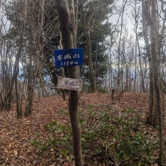 本城山頂上
実は見逃して戻りました。
かなり戻りました。