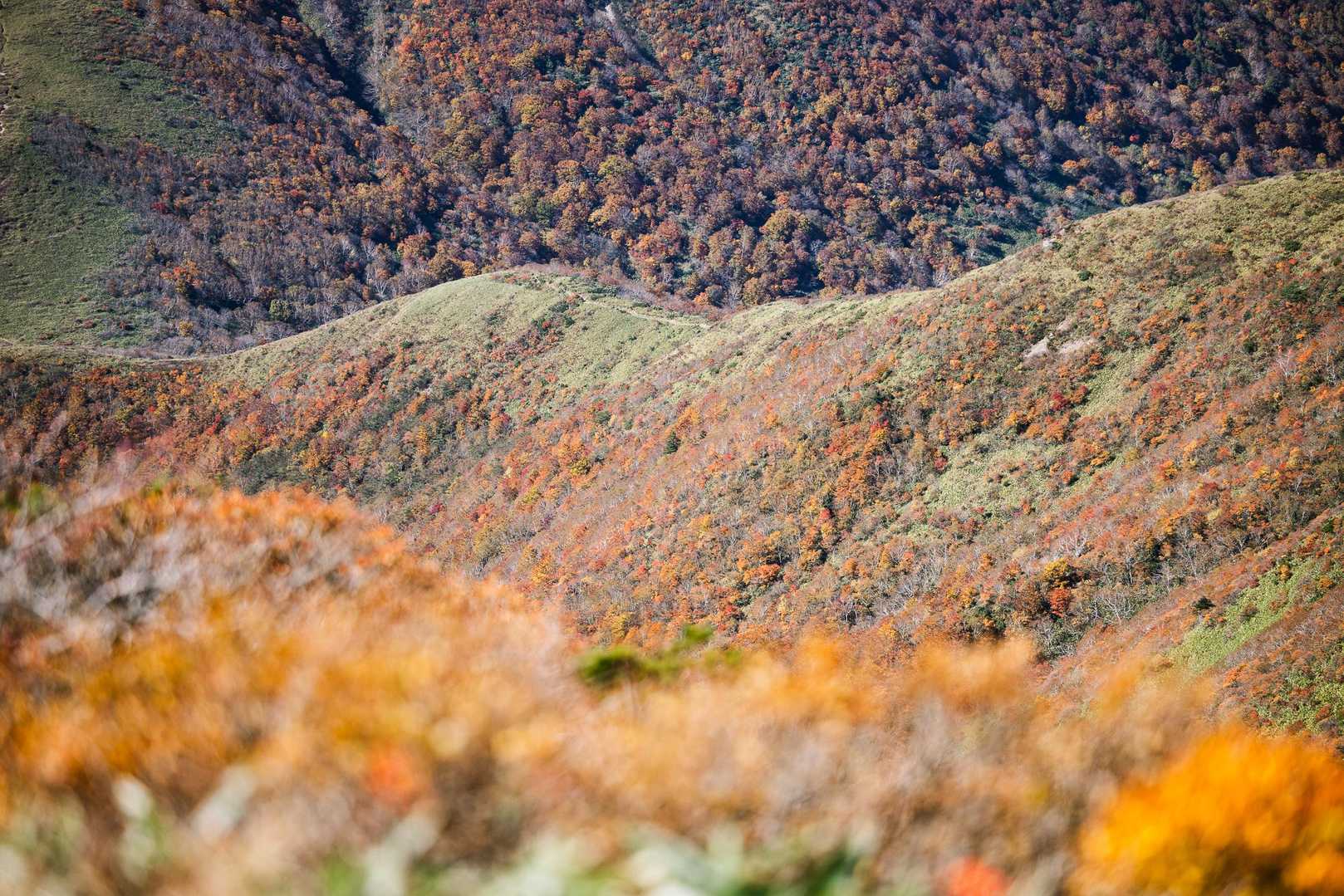 中大倉山-スダレ山-三本槍岳 往復コースの写真