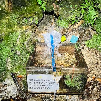 お水たっぷり出てます♪ この水場ちょうどいいところにあります