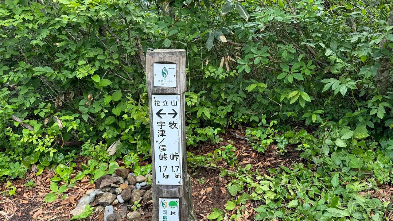 5-9、花立山