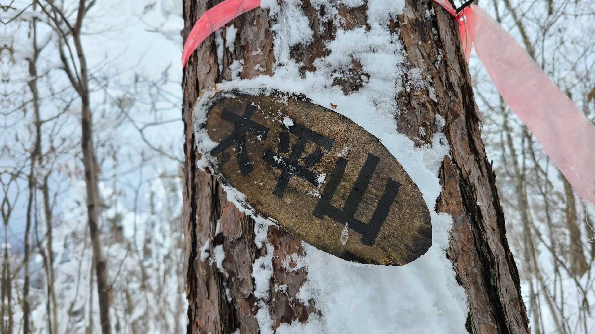 太平山～　一座目
今日の最高点　401m