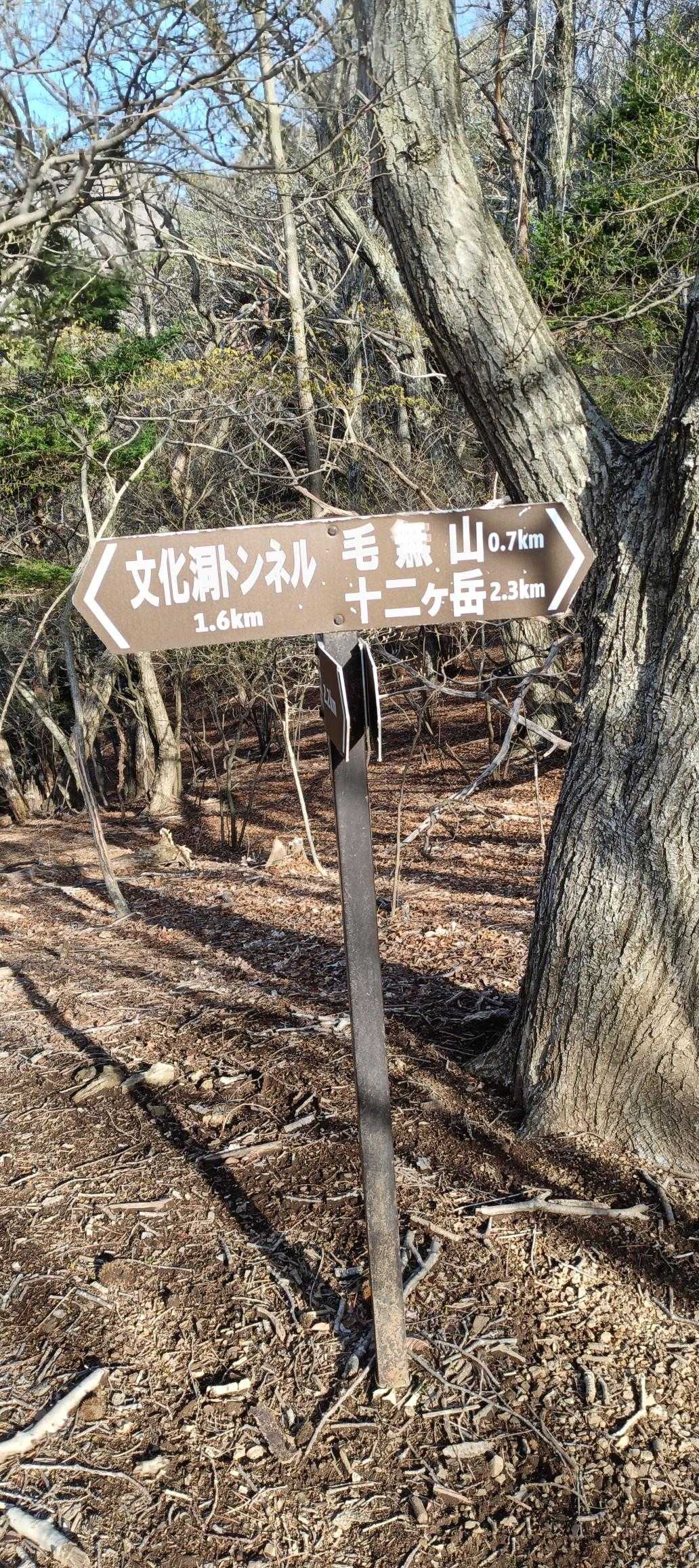 登山計画の時間とピッタリ