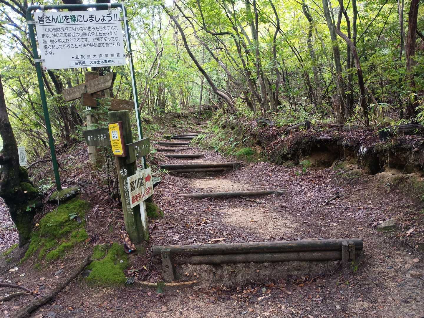 ここから山道。周回コースで行きます