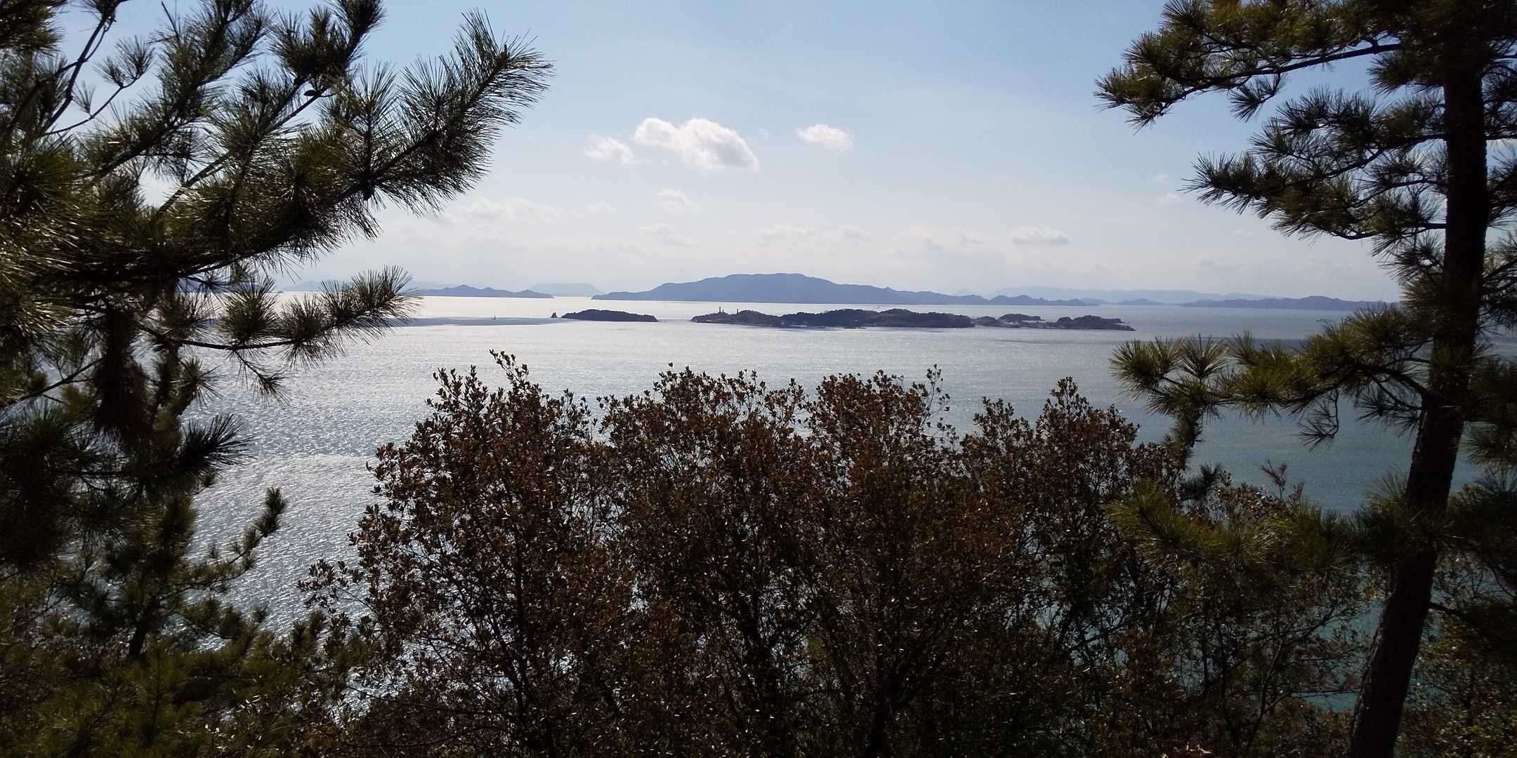 樹間より、少しだけ眺望あり・・・