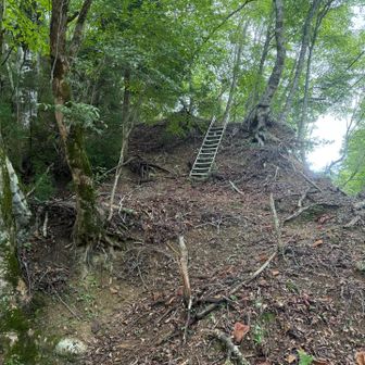石室の後方を上ると、すぐにハシゴのような階段。意外としっかりしてます